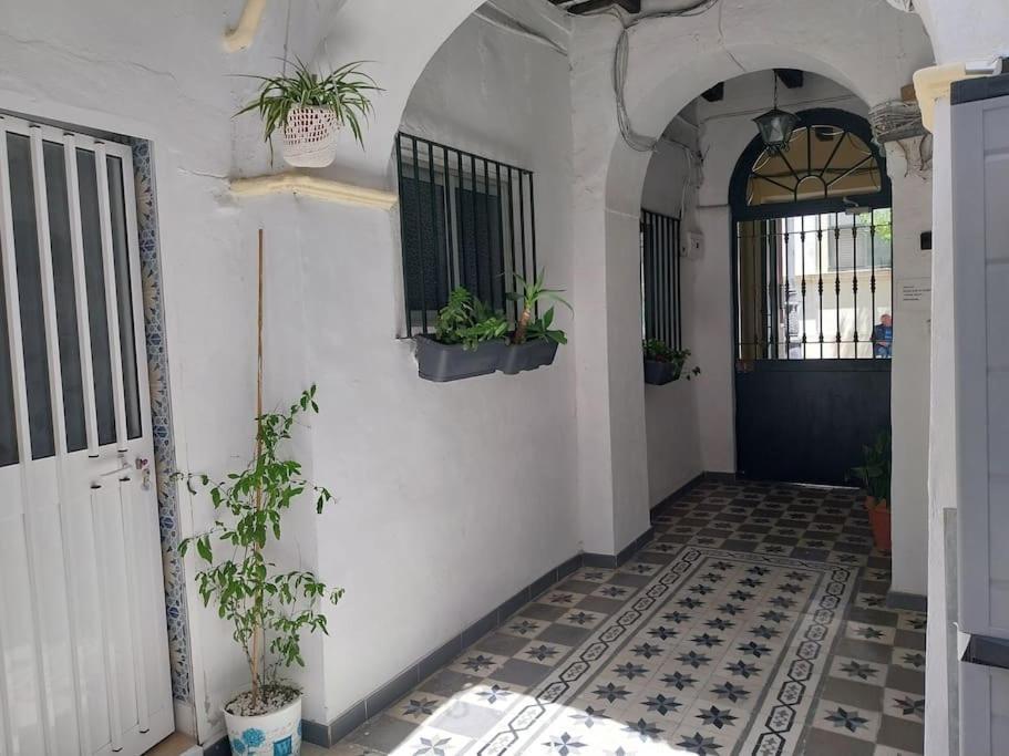 Casatuya Daire Jerez de la Frontera Dış mekan fotoğraf